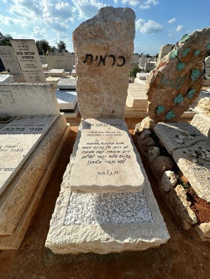 מצבה יחידה חברון בשילוב אבן סוף גוש עם שתילה