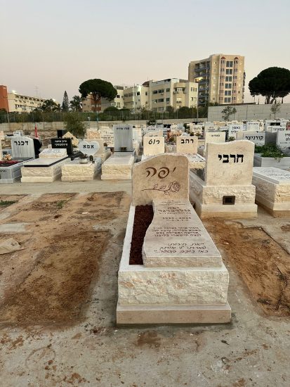מצבה יחידה חברון בשילוב שתילה לאורך צד שמאל